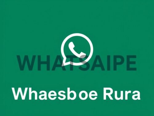 lotazap grupo de whatsapp acaraje de rua