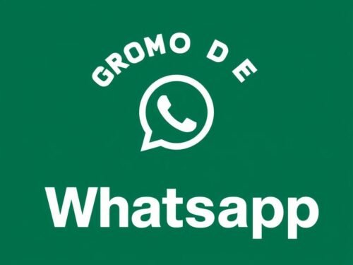lotazap grupo de whatsapp acaraje e crescimento pessoal