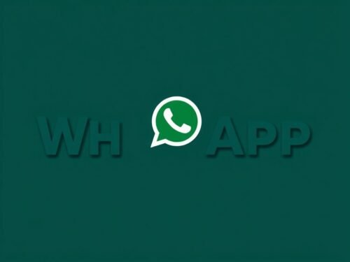 lotazap grupo de whatsapp acaraje e experiencias