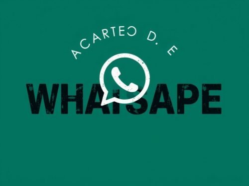 lotazap grupo de whatsapp acaraje e identidade cultural