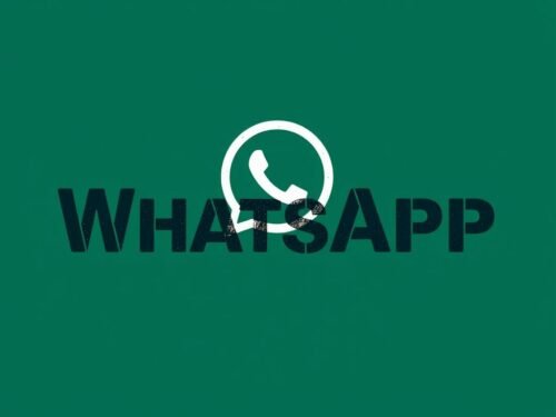 lotazap grupo de whatsapp acaraje e influencias culturais