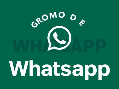 lotazap grupo de whatsapp acaraje e inovacao