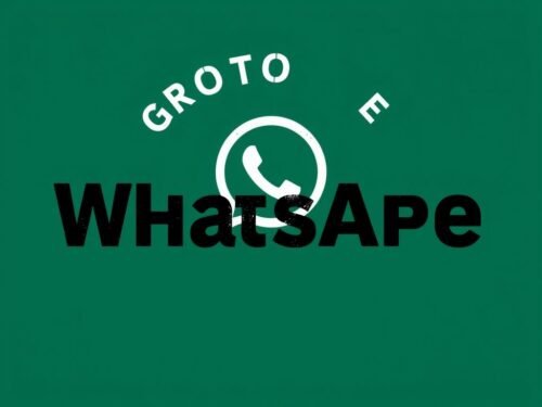lotazap grupo de whatsapp acaraje e negocios