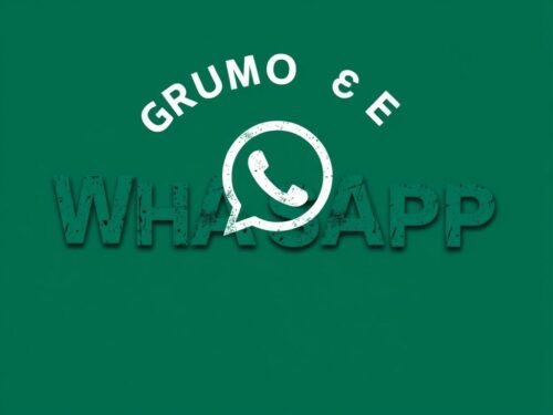 lotazap grupo de whatsapp acaraje e sustentabilidade