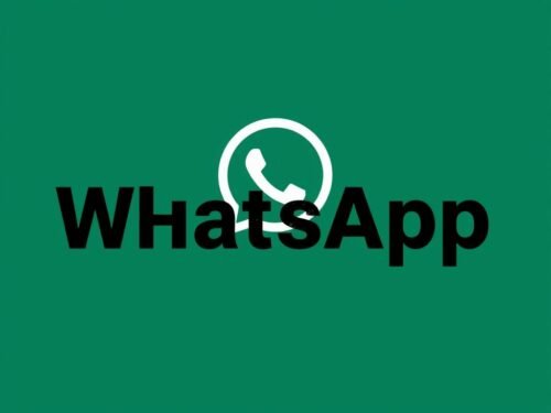 lotazap grupo de whatsapp acaraje vegano
