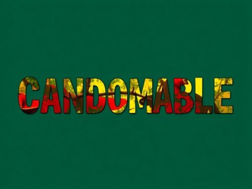 lotazap grupo de whatsapp candomble e a historia da africa
