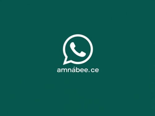lotazap grupo de whatsapp experiencia de vida