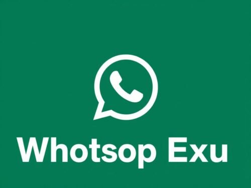 lotazap grupo de whatsapp exu