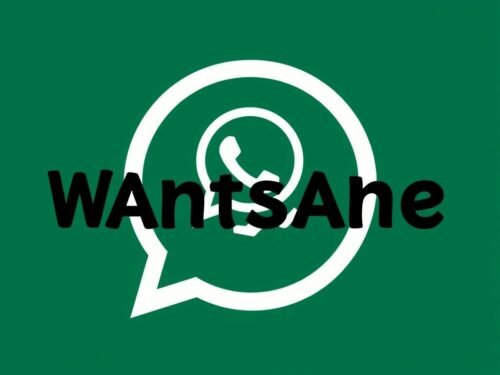 lotazap grupo de whatsapp farinha de acaraje e suas utilizacoes