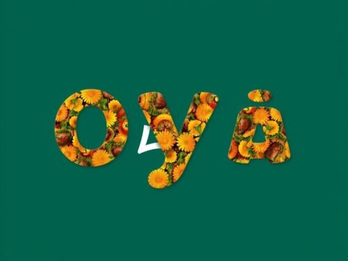 lotazap grupo de whatsapp farinha de acaraje oya