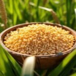 Descubra o Sorgo: O Grão Versátil e Nutritivo que Você Precisa Conhecer