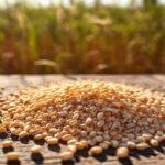 robo 16639 691e5dcaf039d