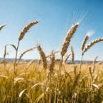 robo 16782 692101b50f433