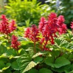 robo 16806 6922509431516