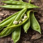 robo 16810 6922522103fa8